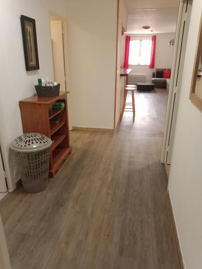 Apartament Superbe T3 De 85 Metres Carres Tuluza Zewnętrze zdjęcie