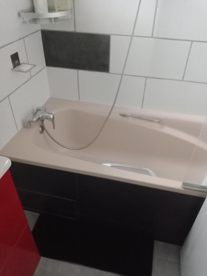 Apartament Superbe T3 De 85 Metres Carres Tuluza Zewnętrze zdjęcie