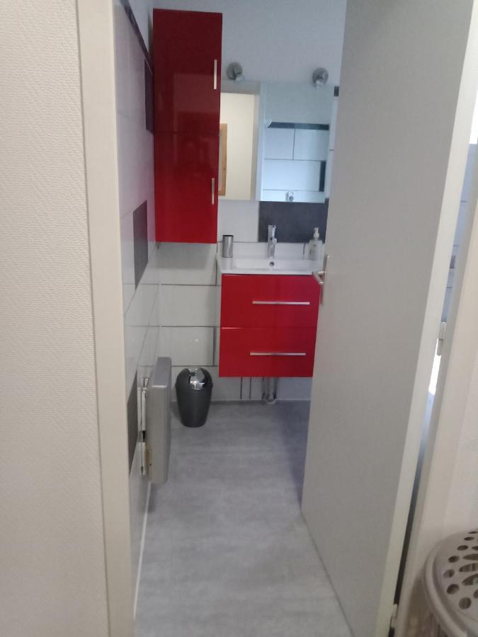 Apartament Superbe T3 De 85 Metres Carres Tuluza Zewnętrze zdjęcie