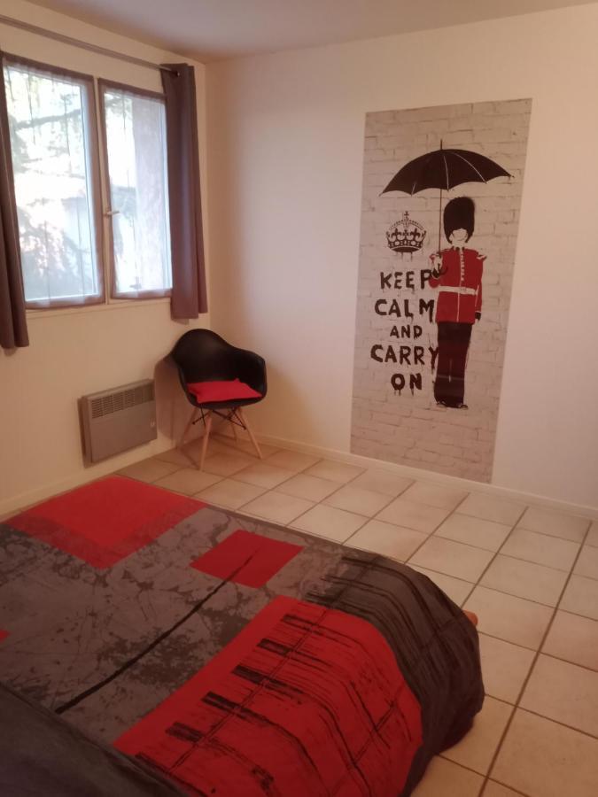 Apartament Superbe T3 De 85 Metres Carres Tuluza Zewnętrze zdjęcie