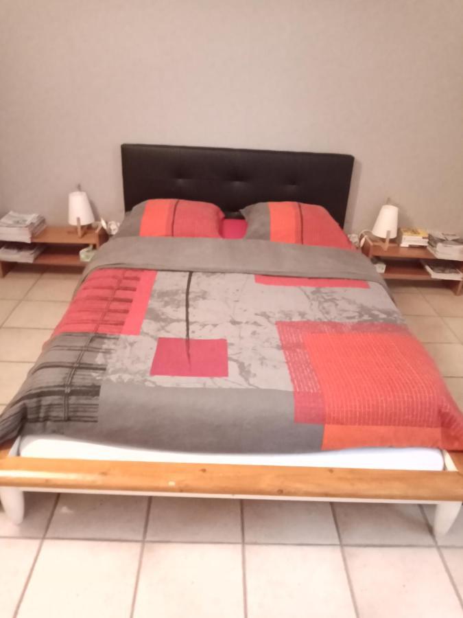 Apartament Superbe T3 De 85 Metres Carres Tuluza Zewnętrze zdjęcie